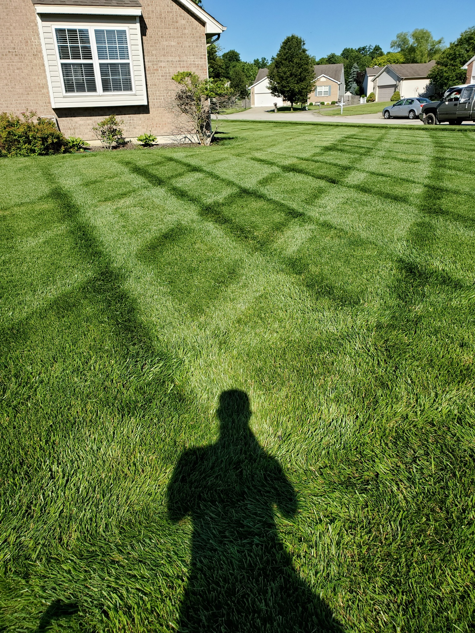 Mister's Lawn Care & Landscaping Locally Owned & Operated General